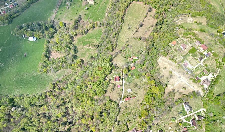 Teren intravilan Bran- Predelut - 11