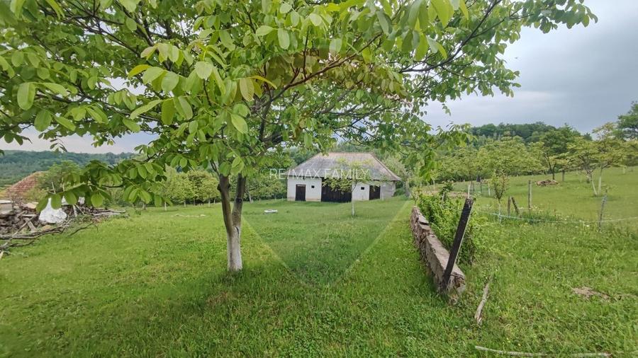 De vanzare casă cu teren 1,17ha la munte, Munteni, Bulz, spre Hiltop - 13