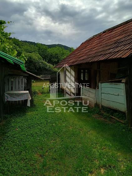 Casa batraneasca de vanzare, 4 camere, in Hunedoara, sat Micanesti - 14