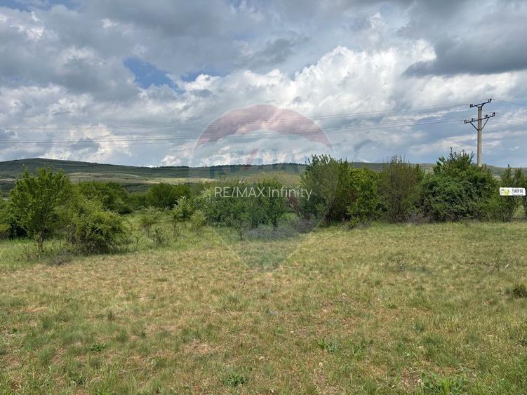 Teren de vanzare 13783mp, front la DN, parcela unica zona de vest - 6