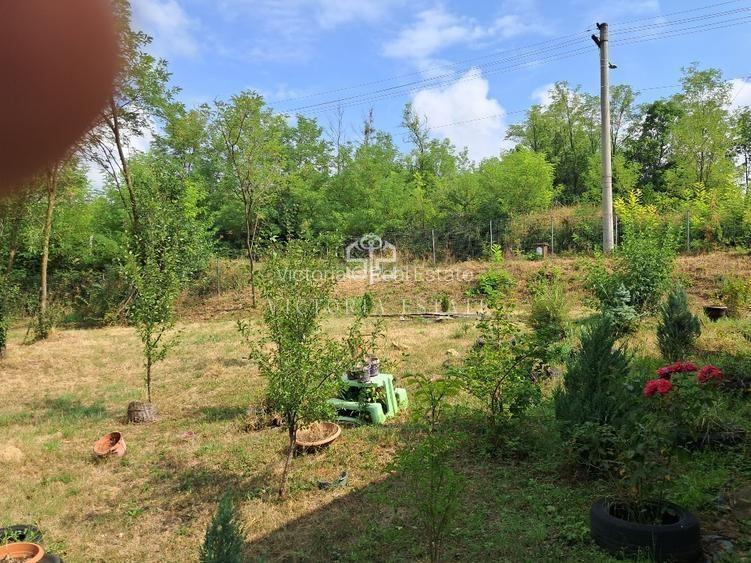 Casa si teren 2000 mp - 10