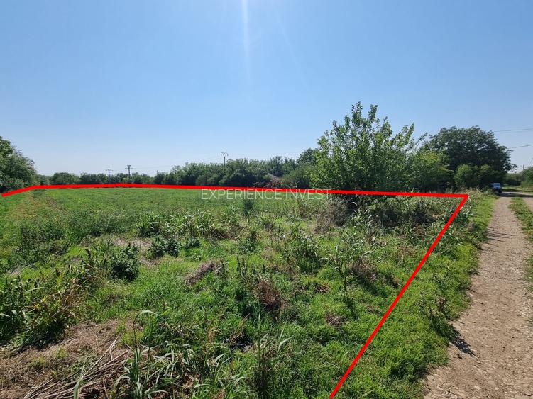 Teren intravilan 1800 mp/ BOTENI/ Ialomita/ COMISION 0% - 4