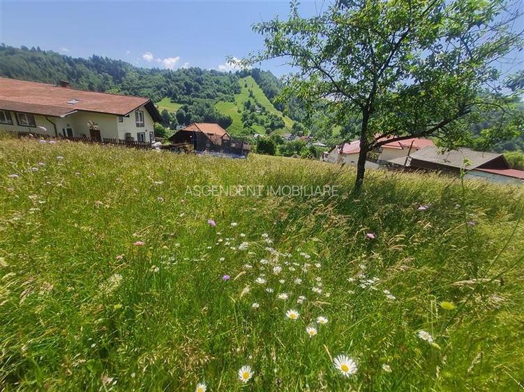 FILM! 1.450 mp intravilan, la DN, incantare peisagistica, Bran, Moieciu, Brasov - 20