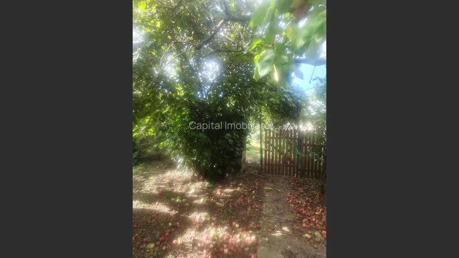 Casa Baicoi zona Schela - 11