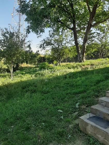 CASA DE VACANTA - 10