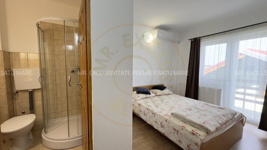 Oportunitate de investitie - Pensiune in statiunea Tasnad, jud. Satu Mare - 6