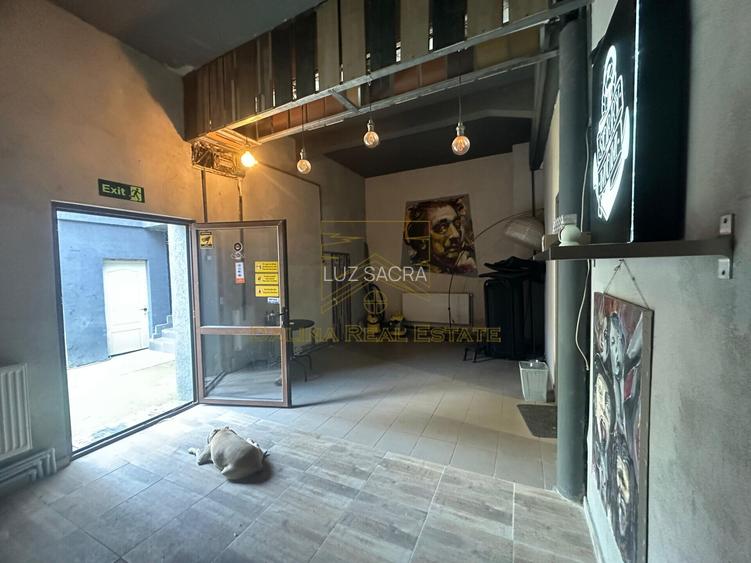 Vanzare - Proprietate cu Potential-Locuinta si Business - 37