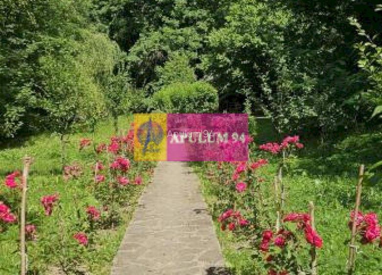 Casă de vânzare în Provița de Jos - 16