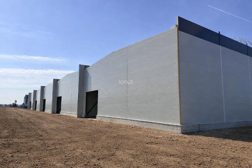 Hala / Depozit de Vanzare Afumati DN2 - 540mp - Acces A0, A3 si Doraly - 2