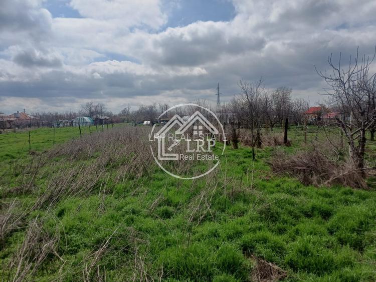 Vilă P+1 în Amara | 1.170 mp Teren | Toate utilitățile | Str. Băilor - 12