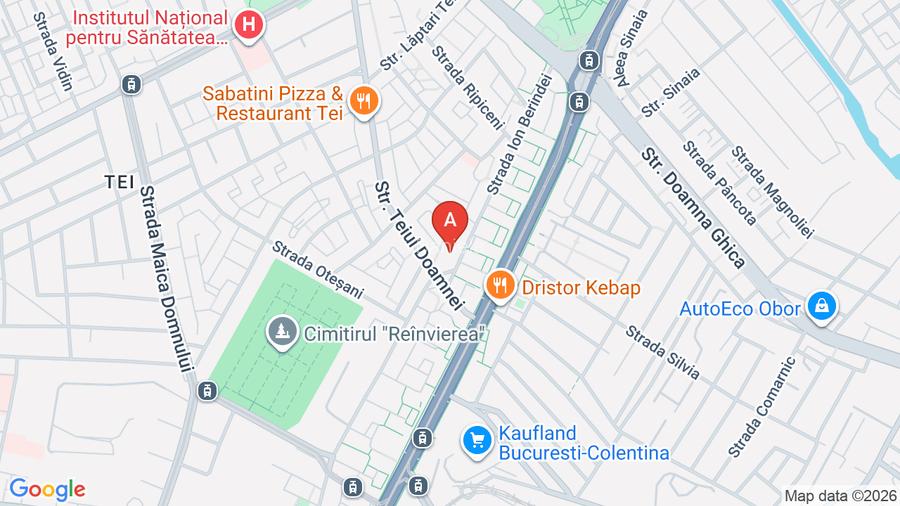 Ap 2 cam Teiul Doamnei/Ion Berindei - 17