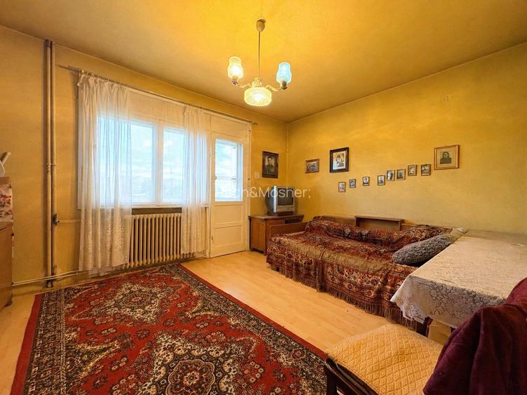 4 camere, suprafata generoasa, vedere panoramica spre raul Timis - 9