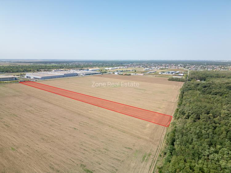 Teren Vanzare Intravilan Branesti - Investitie Zona Industriala Vis a Vis Makita - 10