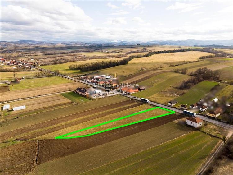 RECO , teren intravilan ,Zona Borod, Bihor - 2