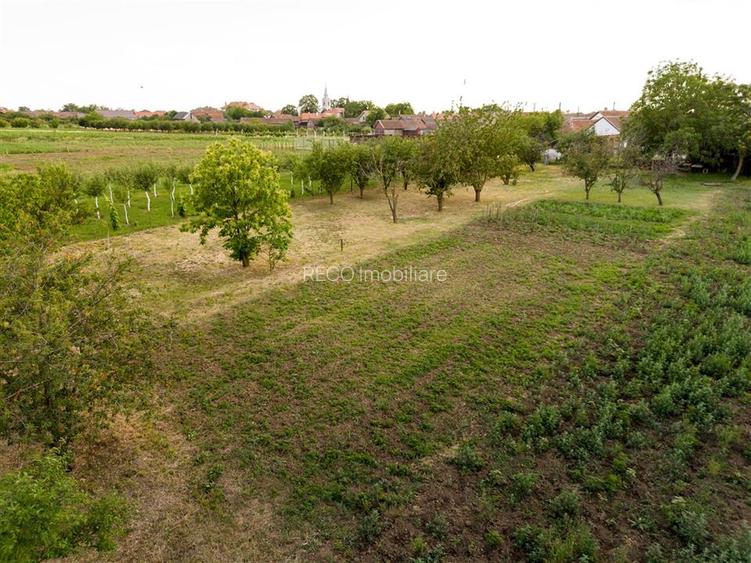 RECO Proprietate cu 2 case si teren mare in Girisu de Cris - 38