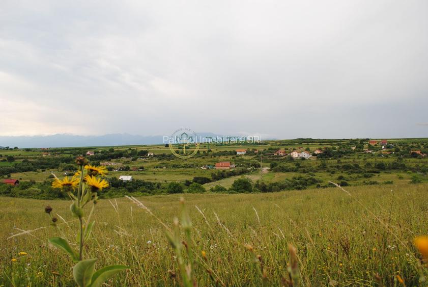 Teren 1,500 mp, vedere panoramica, Sibiu-Daia Noua - 2