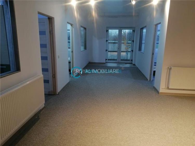 Royal Imobiliare - Vanzare Spatiu de productie Albesti Paleologu - 8