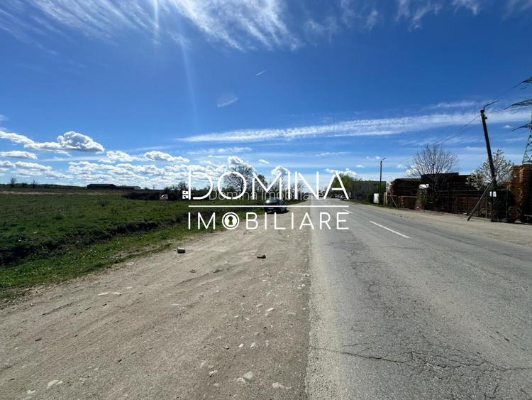 Vanzare teren intravilan 10.339 mp cu PUZ*dubla deschidere* - strada Narciselor  - 3