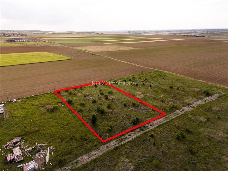 RECO Teren de vanzare Paleu 1025mp - 6