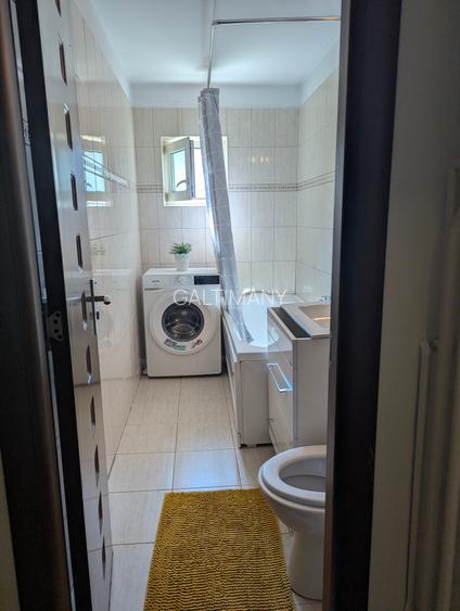 Apartament 7 minute de metrou Mihai Bravu/Dristor - 14