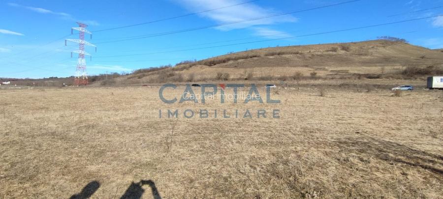 Teren industrial intravilan cu certificat de urbanism in Zona Emerson ! - 3