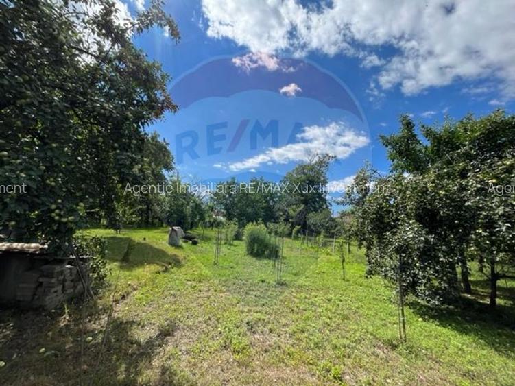 Casă  str. Progresului , Sebes, destinatie : uni/multifamiliala - 11