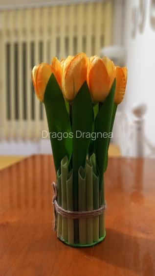 apartament 2 camere Bd Timisoara intre AFI si PLAZA - 11