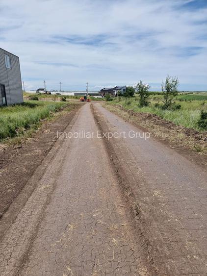 Loturi Teren Intravilan/Extravilan Craiova/Pielesti 609mp, 24 - 29/mp - 9