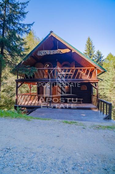 Pensiune, casa de vacanta, 6 camere, statiunea Rausor din Hunedoara - 25