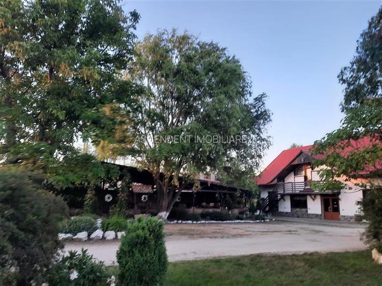 3D! La DN, Spatiu restaurant/ comercial/ activitati divertisment/ Halchiu, Braso - 28