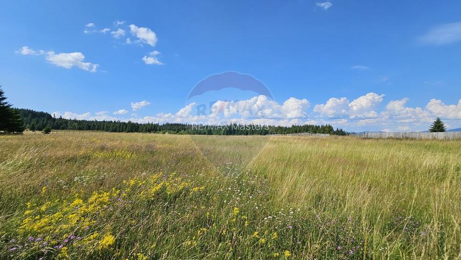 Teren parțial intravilan 30,930 mp Poiana Stampei-DN E58, Suceava - 19