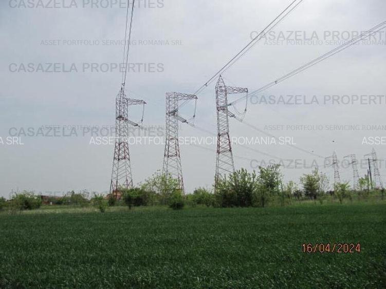 Teren extravilan, com. Frumusani, Calarasi - 4