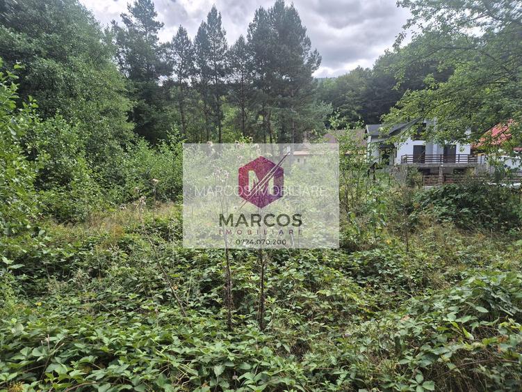 Vand 2 parcele de teren Valiug - 5