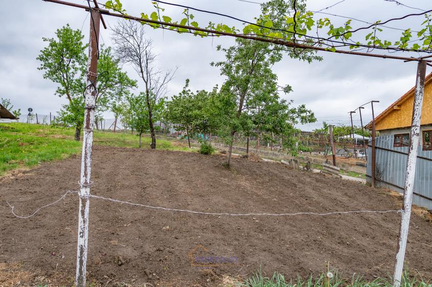 Casă din chirpici, bucătărie de vară și 1.34 ha de teren, Ardeoani