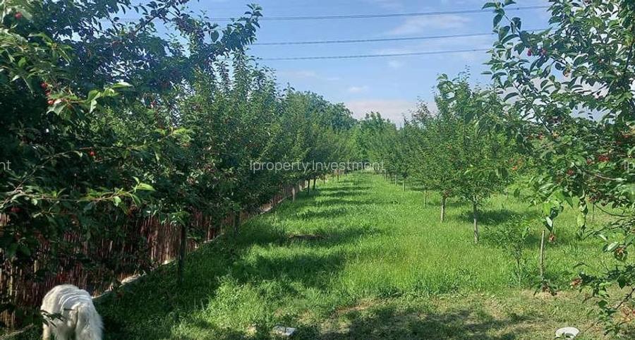 Teren Intravilan | Grigorescu | V5 UTR | deschidere 21 m | 1670mp | depozitare - 2