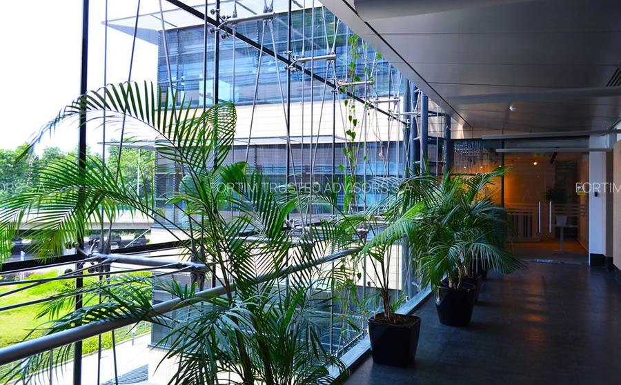 Baneasa Business & Technology Park - Building A - 3