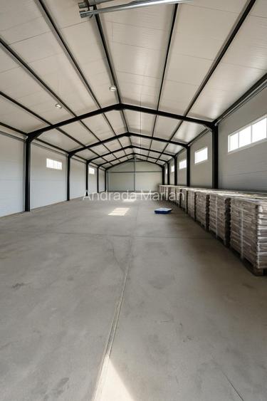 Spațiu industrial complet utilat, Drăgănești, Bihor - 2