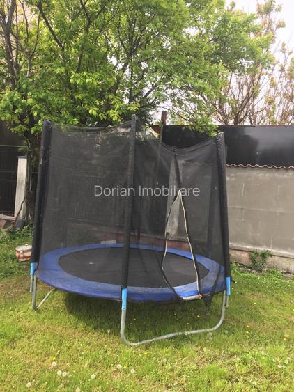 OVIDIU PARTEA CU GHIOLUL vila - 2