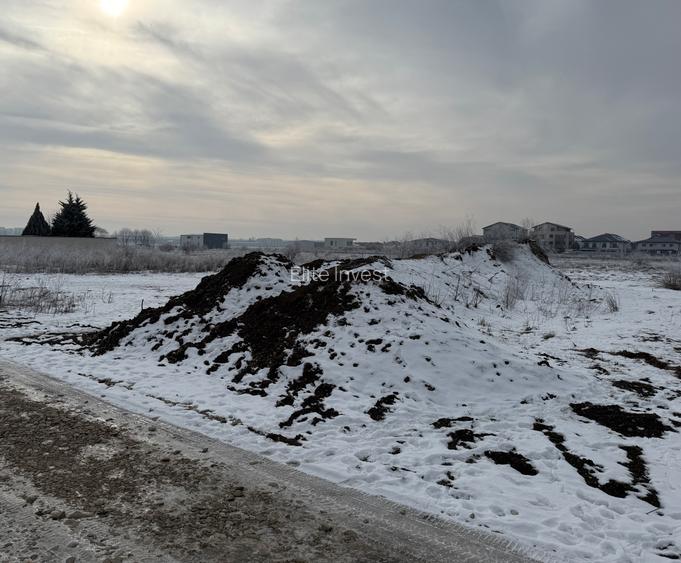 Vanzare teren intravilan, 417 mp, 2,5 km fata de Primarie, Str 23 August-Otopeni - 3