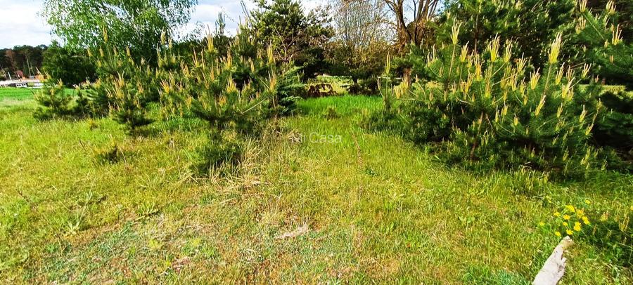 Teren in localitatea Reci,langa lacuri - 9