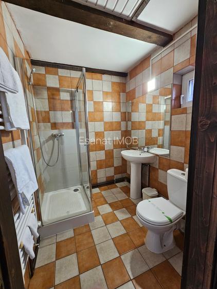 Pensiune + 2 Case, Piscina, Iaz, Garaj, Curte 3.200 mp, panouri |VIDEO - 22