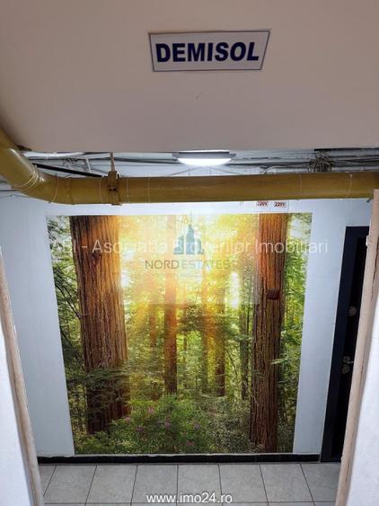 Apartament 2 Camere Piata Victoriei, Monza|Grigore Alexandrescu - 6