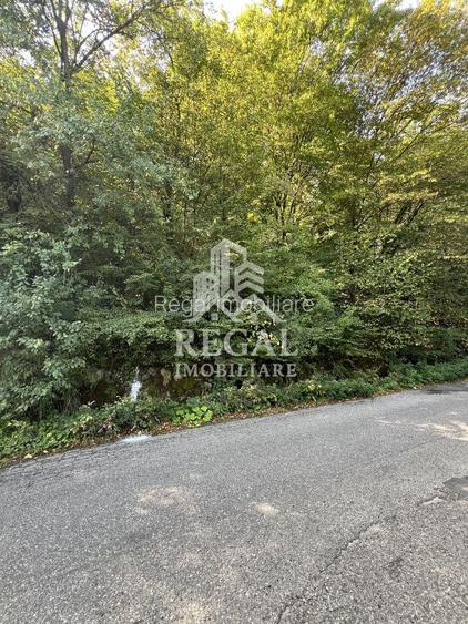 Teren extravilan de vânzare – Lacul Cinciș - 6