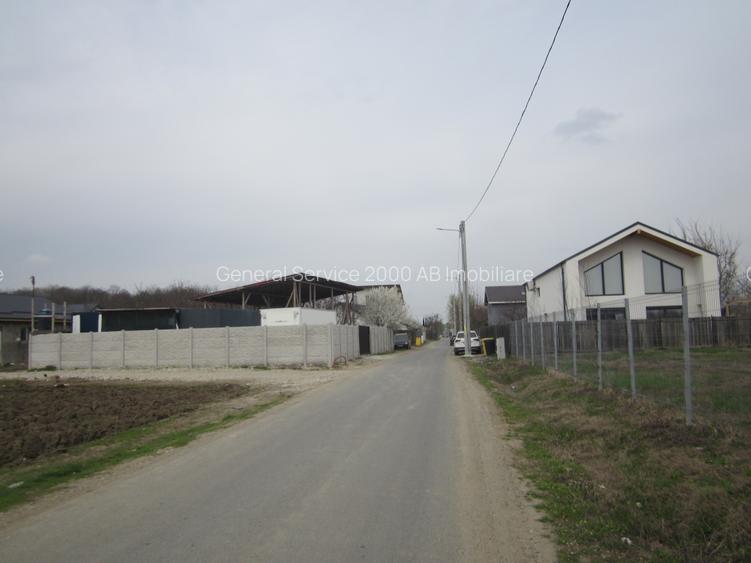Teghes-Caminului - 10