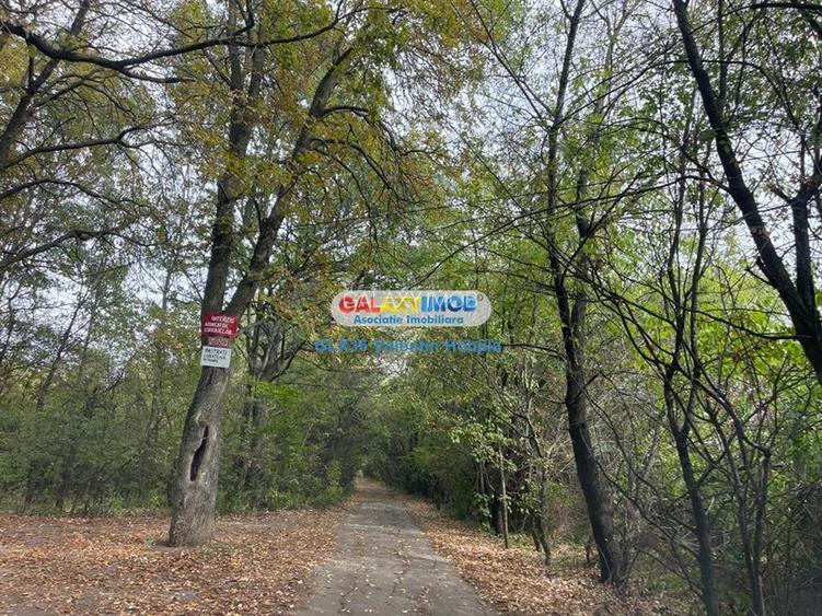 Vanzare teren 3300 mp Peris -deschidere padurea Scrovistea - 3