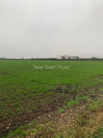 Dascalu Suprafata Compacta 4,4 HA - Gaiesti Suprafata Compacta 6 HA - 3