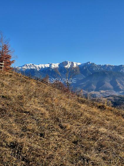Teren de vânzare în sat Măgura/ Brasov– loc pentru familie, liniște și suflet - 11