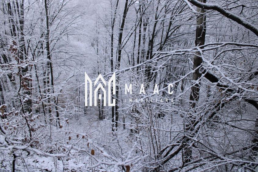 Teren cu izvor de apă minerală  Dangești, Punctul Valea Mare - 33