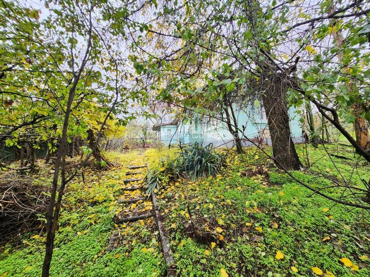 Teren 2200 mp + Casă, sat Frasinu, Giurgiu - 4