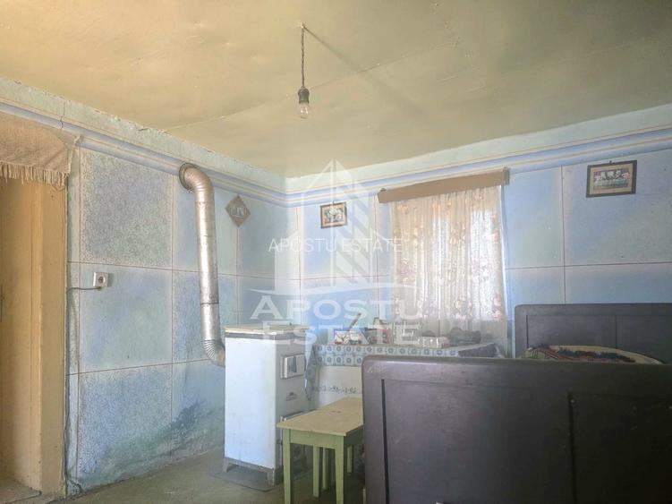 Casa cu teren in localitatea Simand - 6